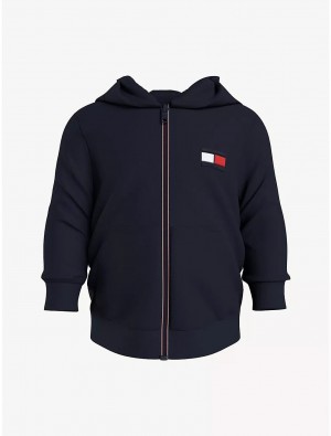 Tommy Hilfiger Babies' Flag Hoodie Sweatshirts & Sweaters Desert Sky | 0169-ZINET