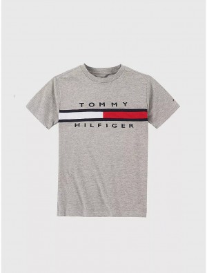 Tommy Hilfiger Big Boys' Flag Stripe Logo T-Shirt T-Shirts Grey Heather | 7631-TWHUV