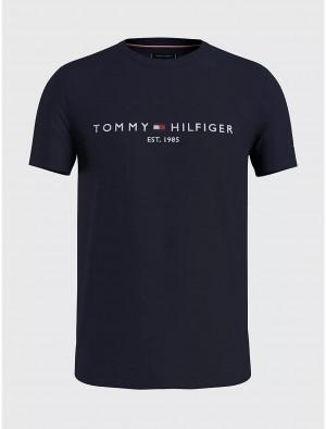 Tommy Hilfiger Big and Tall Hilfiger Logo T-Shirt Big & Tall Desert Sky | 8027-ZGSEU