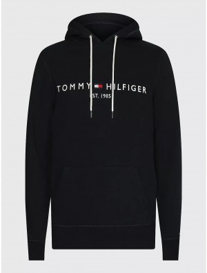 Tommy Hilfiger Big and Tall Tommy Logo Hoodie Big & Tall Desert Sky | 9613-FLKVR