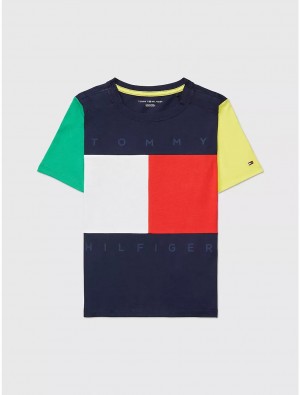 Tommy Hilfiger Colorblock Flag T-Shirt Tops Peacoat Blue/Multi | 6310-EUAZI