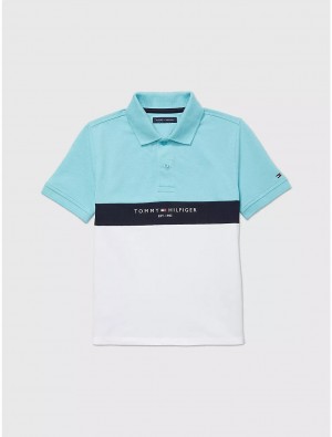 Tommy Hilfiger Colorblock Polo Tops Mediterranean Blue | 2598-FBHWK