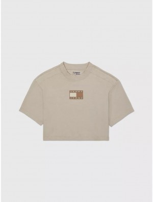 Tommy Hilfiger Cropped Flag Graphic T-Shirt Tops Fresh Clay | 8179-DIKGE