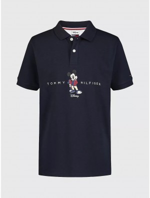 Tommy Hilfiger DISNEYxTOMMY Little Kids' Polo DISNEYxTOMMY Desert Sky | 9718-BEPAH