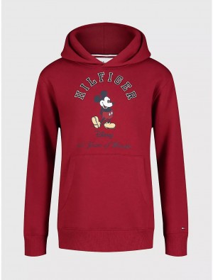 Tommy Hilfiger DISNEYxTOMMY Little Kids' Hoodie DISNEYxTOMMY Regatta Red | 5268-FQKCG