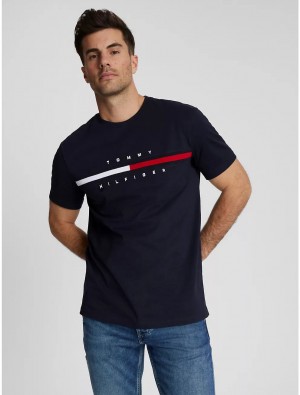 Tommy Hilfiger Embroidered Flag Stripe Logo T-Shirt T-Shirts Desert Sky | 4971-PVODX