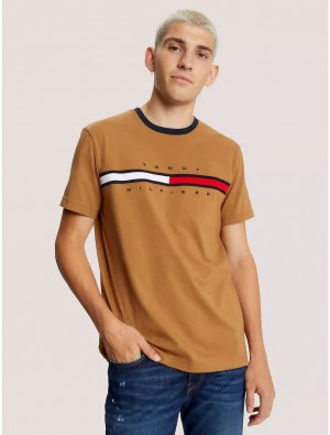 Tommy Hilfiger Embroidered Flag Stripe Logo T-Shirt T-Shirts Golden Rays | 8042-XFLJV