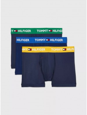 Tommy Hilfiger Everyday Micro Trunk 3-Pack Underwear Multi Blue | 6957-OKWVG