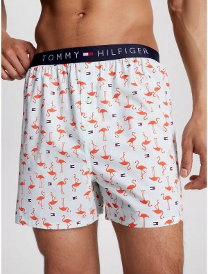 Tommy Hilfiger Fashion Woven Boxer Underwear GLACIER | 1834-FGMRV