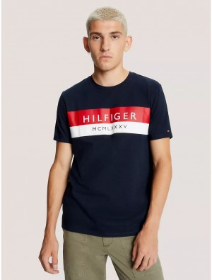 Tommy Hilfiger Hilfiger Stripe T-Shirt T-Shirts Desert Sky | 5073-JHYUW