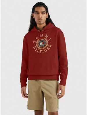 Tommy Hilfiger Icon Circle Logo Hoodie Hoodies & Sweatshirts Cinnabar Red | 3521-FSQZJ