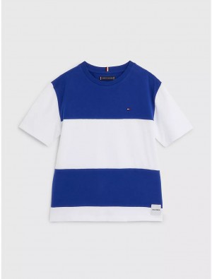 Tommy Hilfiger Kids' Colorblock T-Shirt T-Shirts Navy Voyage | 7952-EVMQX