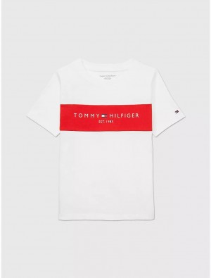 Tommy Hilfiger Kids' Colorblock T-Shirt T-Shirts Fresh White | 3697-IWMJE