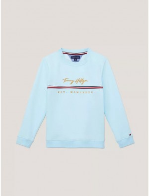 Tommy Hilfiger Kids' Embroidered Signature Sweatshirt Sweatshirts & Sweaters Frost Blue | 2431-WBUCX