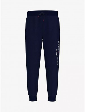 Tommy Hilfiger Kids' Embroidered Tommy Logo Pant Pants Masters Navy | 0159-YAIHO