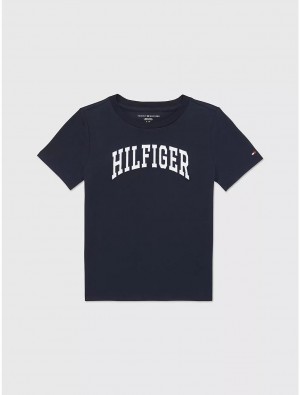 Tommy Hilfiger Kids' Embroidered Varsity T-Shirt T-Shirts Desert Sky | 6201-FKGEY