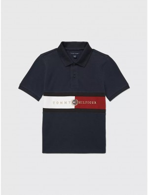 Tommy Hilfiger Kids' Flag Polo Polos Desert Sky | 9846-WBTDM