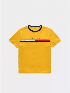 Tommy Hilfiger Kids' Flag Stripe Logo T-Shirt T-Shirts Golden Rod | 3650-QUBTZ