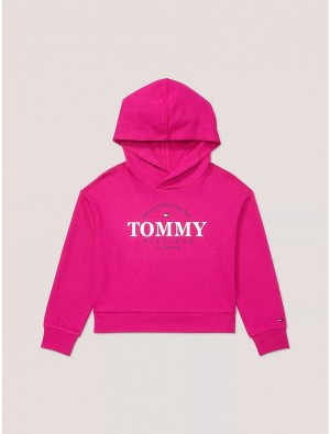 Tommy Hilfiger Kids' Hilfiger NY Logo Hoodie Sweatshirts & Sweaters Eccentric Magenta | 5704-GVWIE