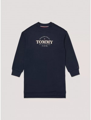 Tommy Hilfiger Kids' Hilfiger NY Logo Sweatshirt Dress Dresses & Skirts Desert Sky | 0328-TEOAX