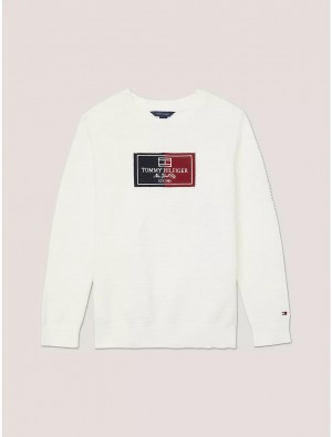 Tommy Hilfiger Kids' NYC Flag Sweater Sweatshirts & Sweaters Ivory Petal | 2754-FYNID