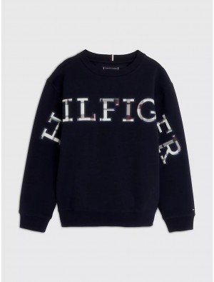 Tommy Hilfiger Kids' Plaid Logo Sweatshirt Sweatshirts & Sweaters Desert Sky | 2071-BDGUH