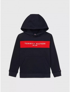 Tommy Hilfiger Kids' Tommy Logo Colorblock Hoodie Sweatshirts & Sweaters Cobalt Sapphire | 6901-HXRNP