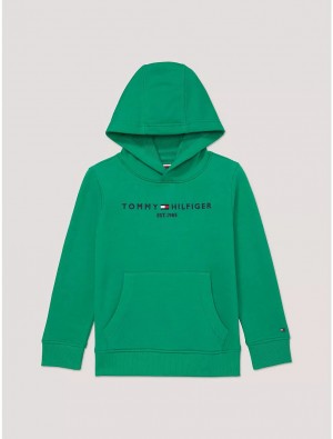 Tommy Hilfiger Kids' Tommy Logo Hoodie Sweatshirts & Sweaters Green Malachite | 6923-YWEUZ