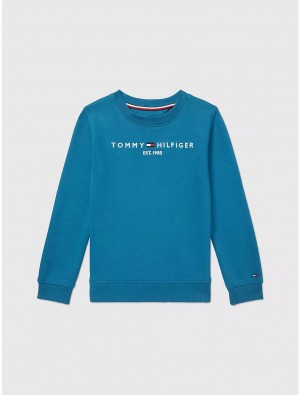 Tommy Hilfiger Kids' Tommy Logo Sweatshirt Sweatshirts & Sweaters Blue Craze | 0314-TVARS