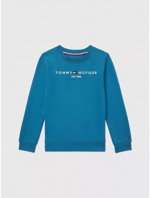 Tommy Hilfiger Kids' Tommy Logo Sweatshirt Sweatshirts & Sweaters Blue Craze | 7961-GNIQS