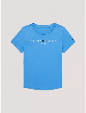 Tommy Hilfiger Kids' Tommy Logo T-Shirt T-Shirts Aegean Ocean | 4075-APWGB