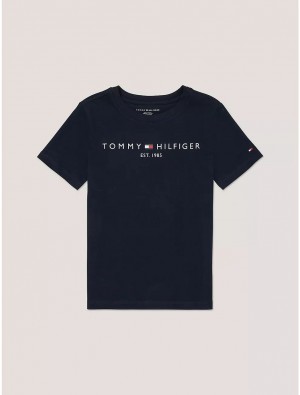 Tommy Hilfiger Kids' Tommy Logo T-Shirt T-Shirts Desert Sky | 7840-HMLPN