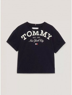 Tommy Hilfiger Kids' Tommy NYC T-Shirt T-Shirts Desert Sky | 1645-JGNCW