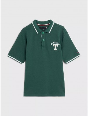 Tommy Hilfiger Kids' Varsity Polo Polos Collegiate Green | 4809-MTOCJ