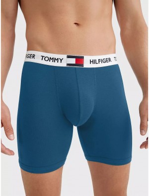 Tommy Hilfiger Logo Rib Boxer Brief Underwear Blue Mist | 2563-SGJXT