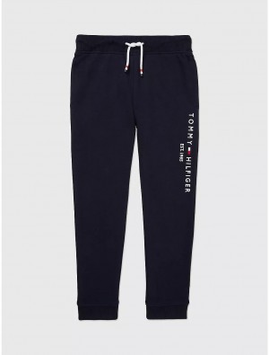 Tommy Hilfiger Logo Sweatpant Bottoms Desert Sky | 3549-LNFVT