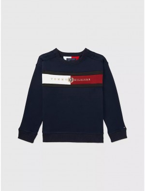 Tommy Hilfiger Logo Sweatshirt Tops Desert Sky | 2308-VGXEH