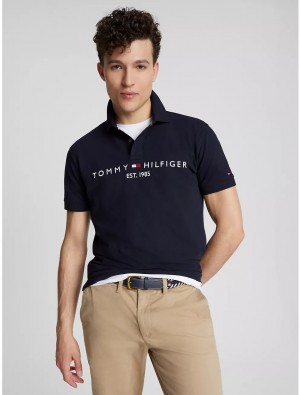 Tommy Hilfiger Regular Fit Embroidered Tommy Logo Polo Polos Desert Sky | 6802-PVAGW