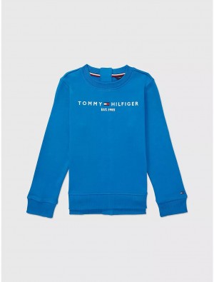 Tommy Hilfiger Seated Fit Classic Sweatshirt Tops Blue Craze | 2381-TSACY