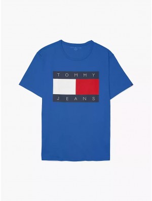 Tommy Hilfiger Sensory Tommy Jeans T-Shirt Tops Corrib River Blue | 2793-TDNXI