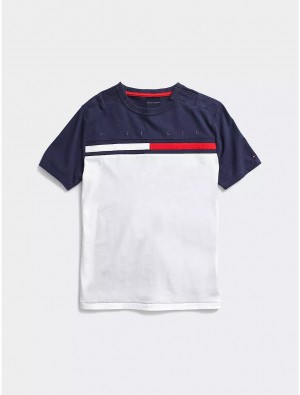 Tommy Hilfiger Signature Colorblock T-Shirt Tops Bright White | 2089-CUBWF