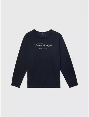 Tommy Hilfiger Signature Sweatshirt Tops Desert Sky | 4298-FULNJ