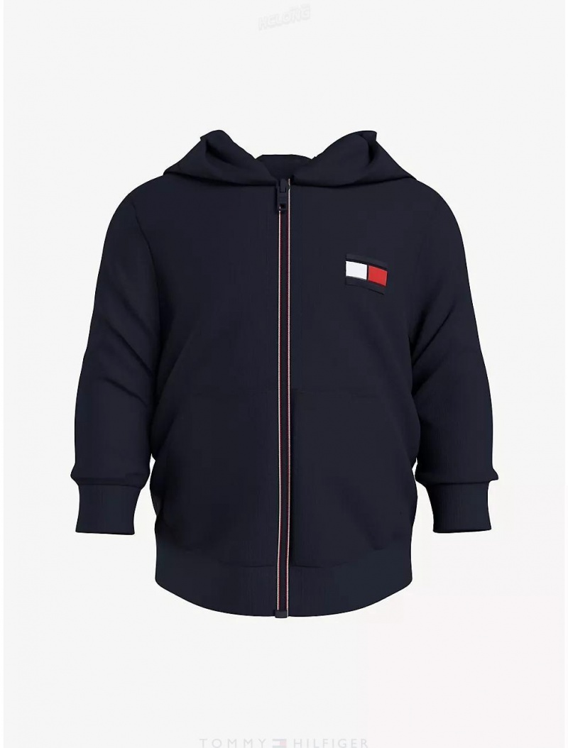 Tommy Hilfiger Babies' Flag Hoodie Sweatshirts & Sweaters Desert Sky | 0169-ZINET