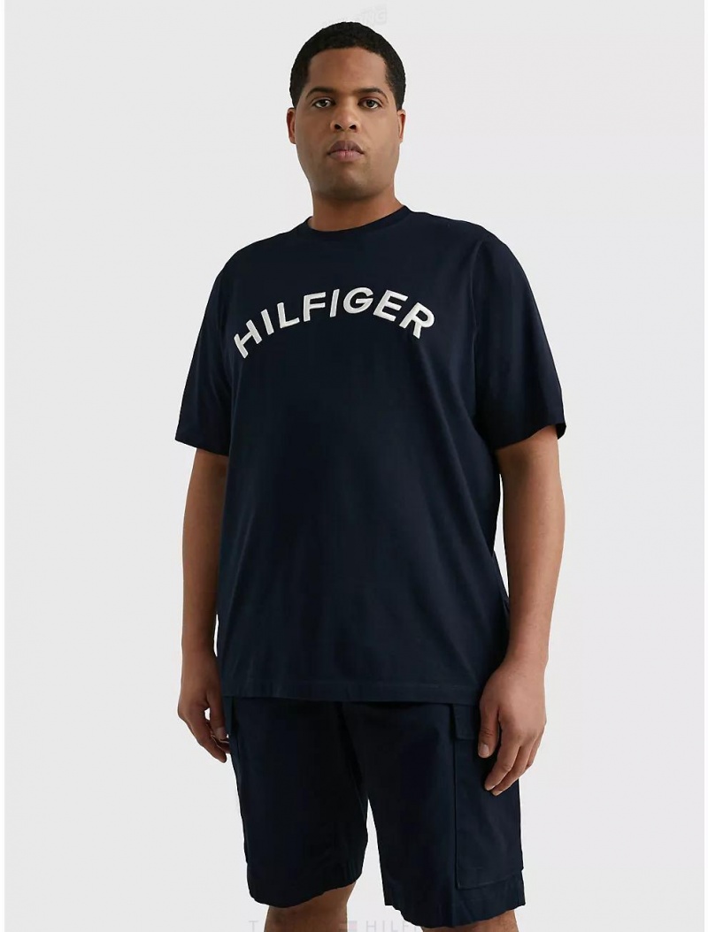 Tommy Hilfiger Big and Tall Arch Logo T-Shirt Big & Tall Desert Sky | 8763-KEPGT