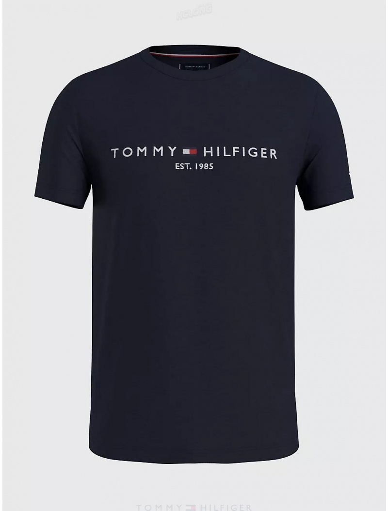 Tommy Hilfiger Big and Tall Hilfiger Logo T-Shirt Big & Tall Desert Sky | 8027-ZGSEU