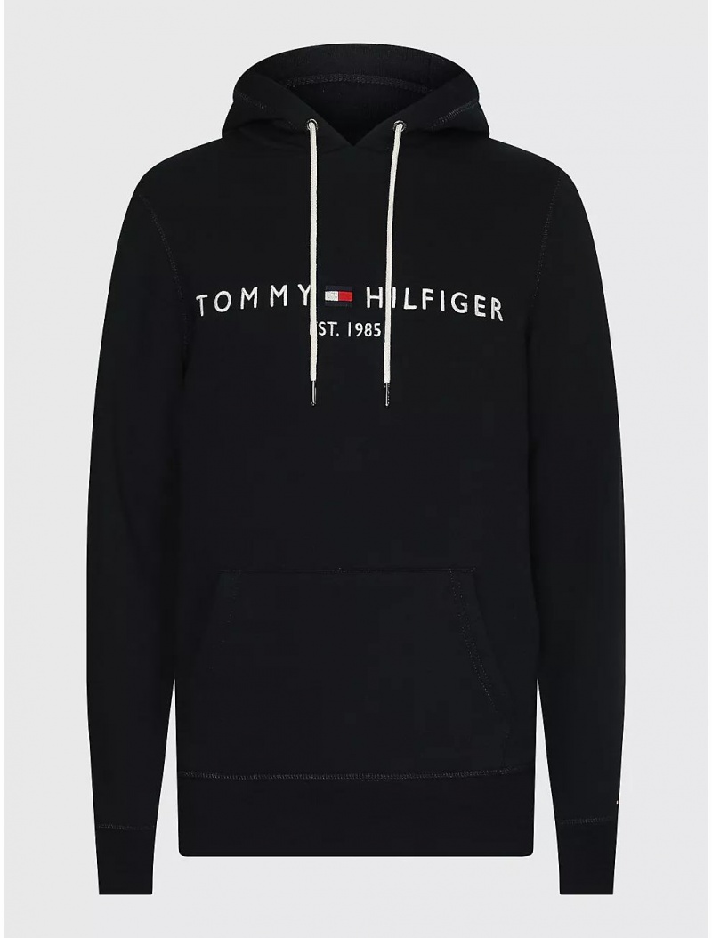 Tommy Hilfiger Big and Tall Tommy Logo Hoodie Big & Tall Desert Sky | 9613-FLKVR