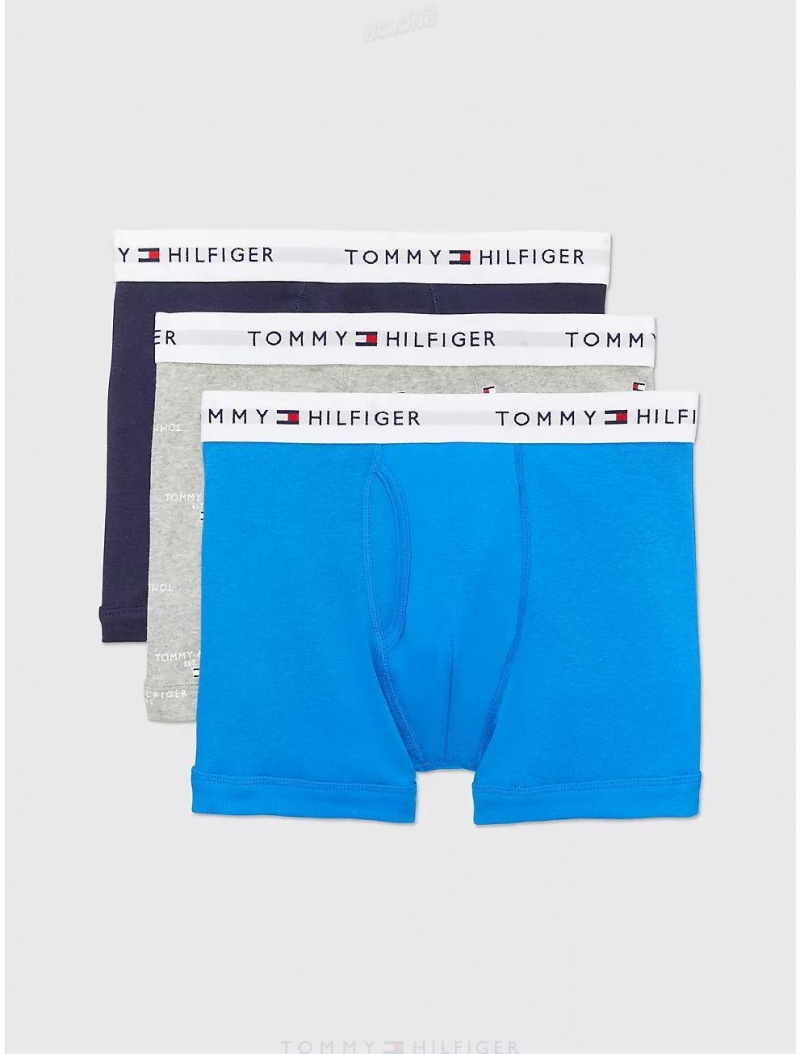 Tommy Hilfiger Cotton Classics Trunk 3-Pack Underwear Daphne Blue/Grey Heather Logo Print/Navy Blazer | 3642-BTGOX