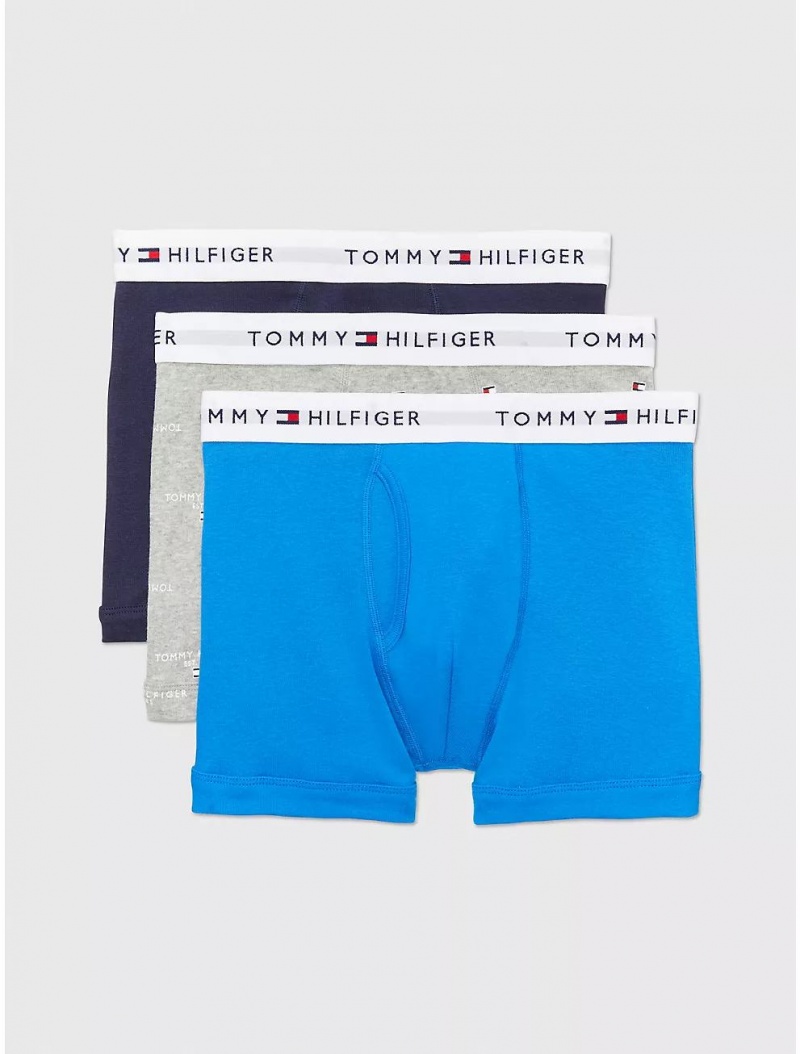 Tommy Hilfiger Cotton Classics Trunk 3-Pack Underwear Daphne Blue/Grey Heather Logo Print/Navy Blazer | 3642-BTGOX