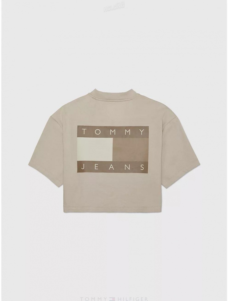 Tommy Hilfiger Cropped Flag Graphic T-Shirt Tops Fresh Clay | 8179-DIKGE