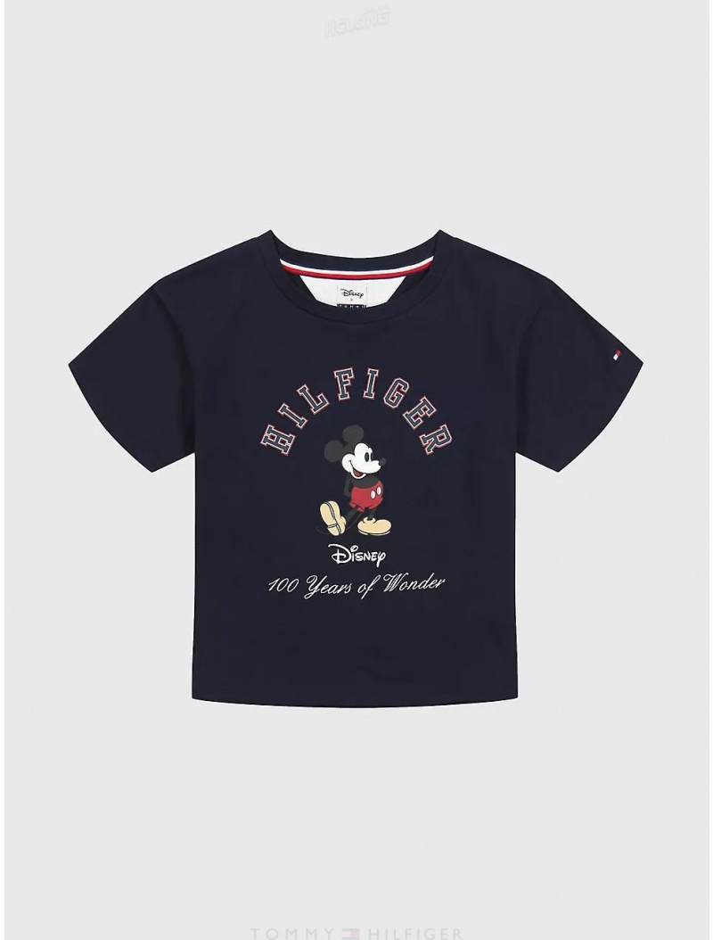 Tommy Hilfiger DISNEYxTOMMY Big Kids' Wonder T-Shirt DISNEYxTOMMY Desert Sky | 2769-SRAWV